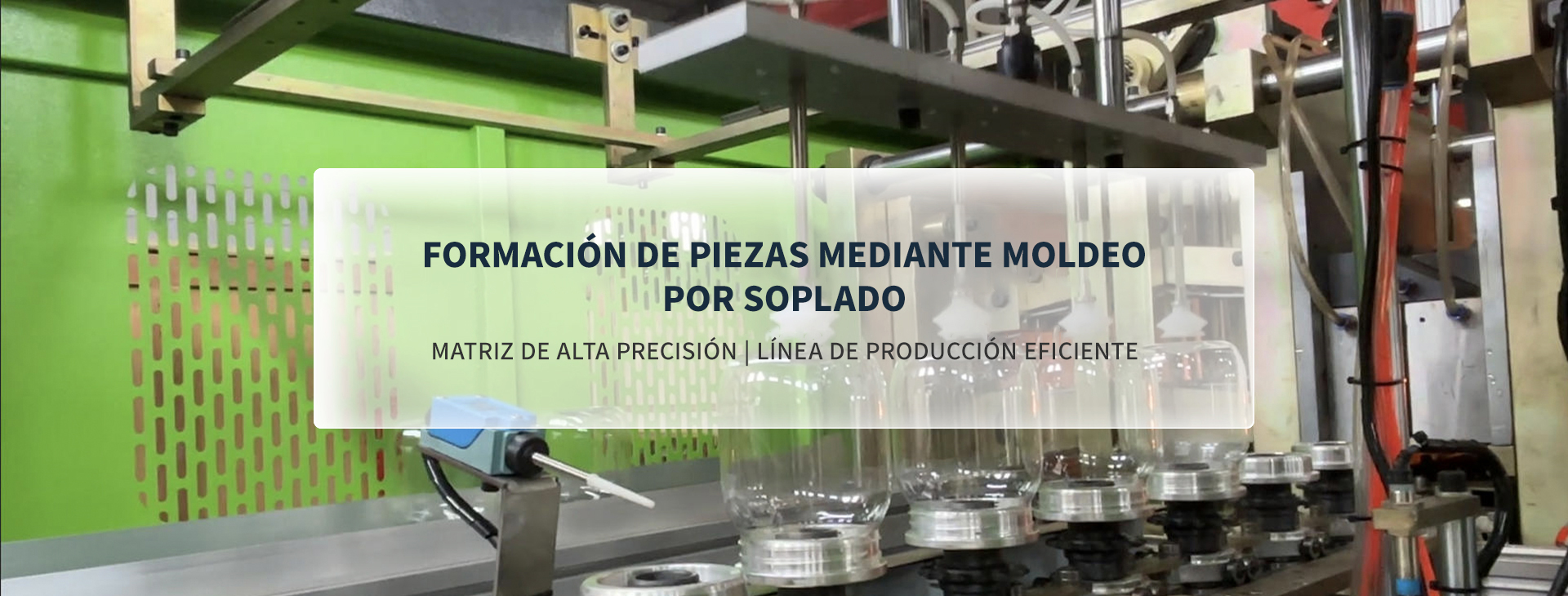 Molde de moldeo por soplado de preformas